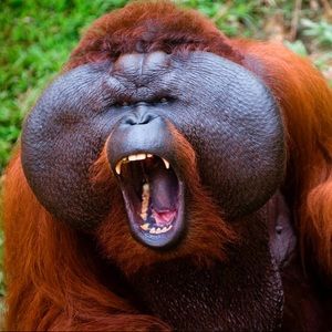 Meet your Posher, Gabe